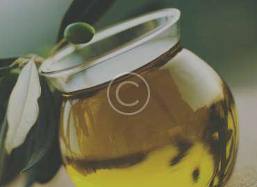 Zeytin Ağaçlarına Asma Gibi Davranmak